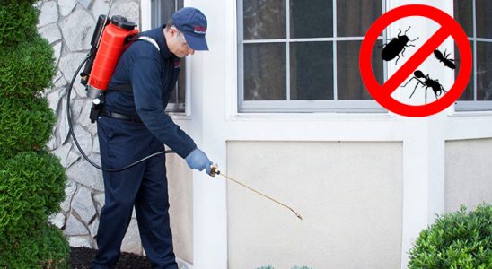 Çamlıyayla Fare İlaçlama böcek ilaçlama ve haşere kontrolü — ilaclama-tr.com